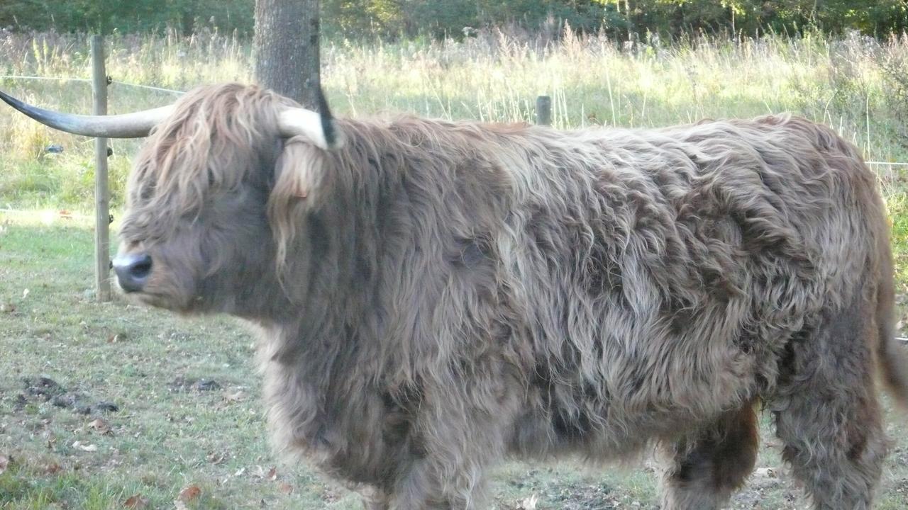 Chateau Mont Suzey Yvoy-le-Marron Zewnętrze zdjęcie